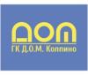 Dom-Kolpino